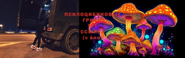 бошки Белокуриха