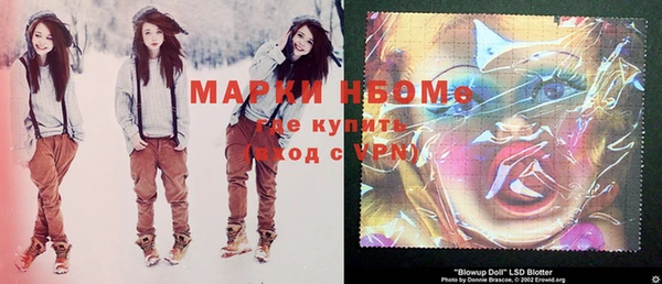 бошки Белокуриха