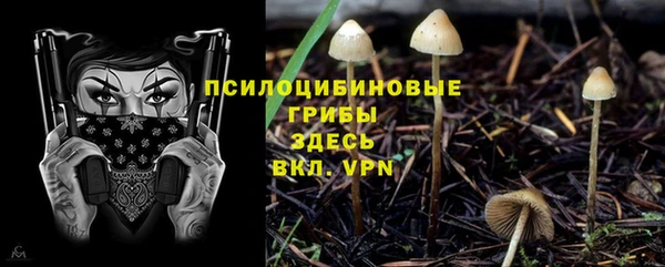 МДПВ Беломорск