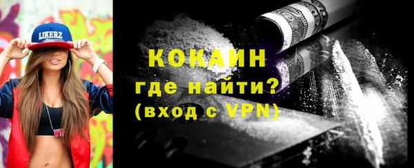 бошки Белокуриха