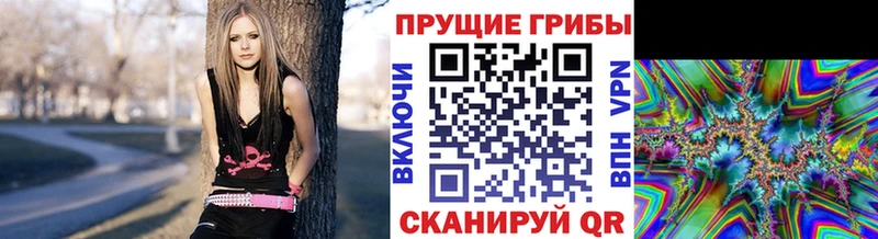 Галлюциногенные грибы мицелий  Ермолино 