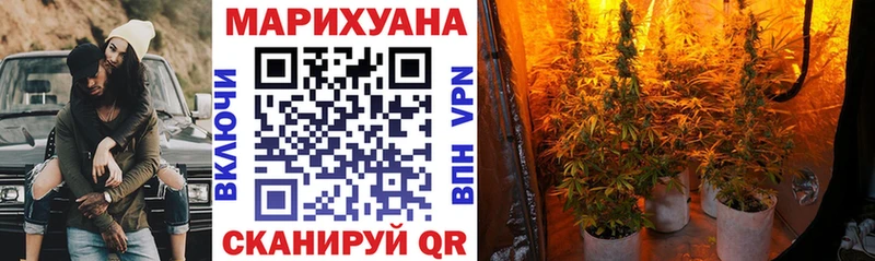 Конопля OG Kush  Ермолино 